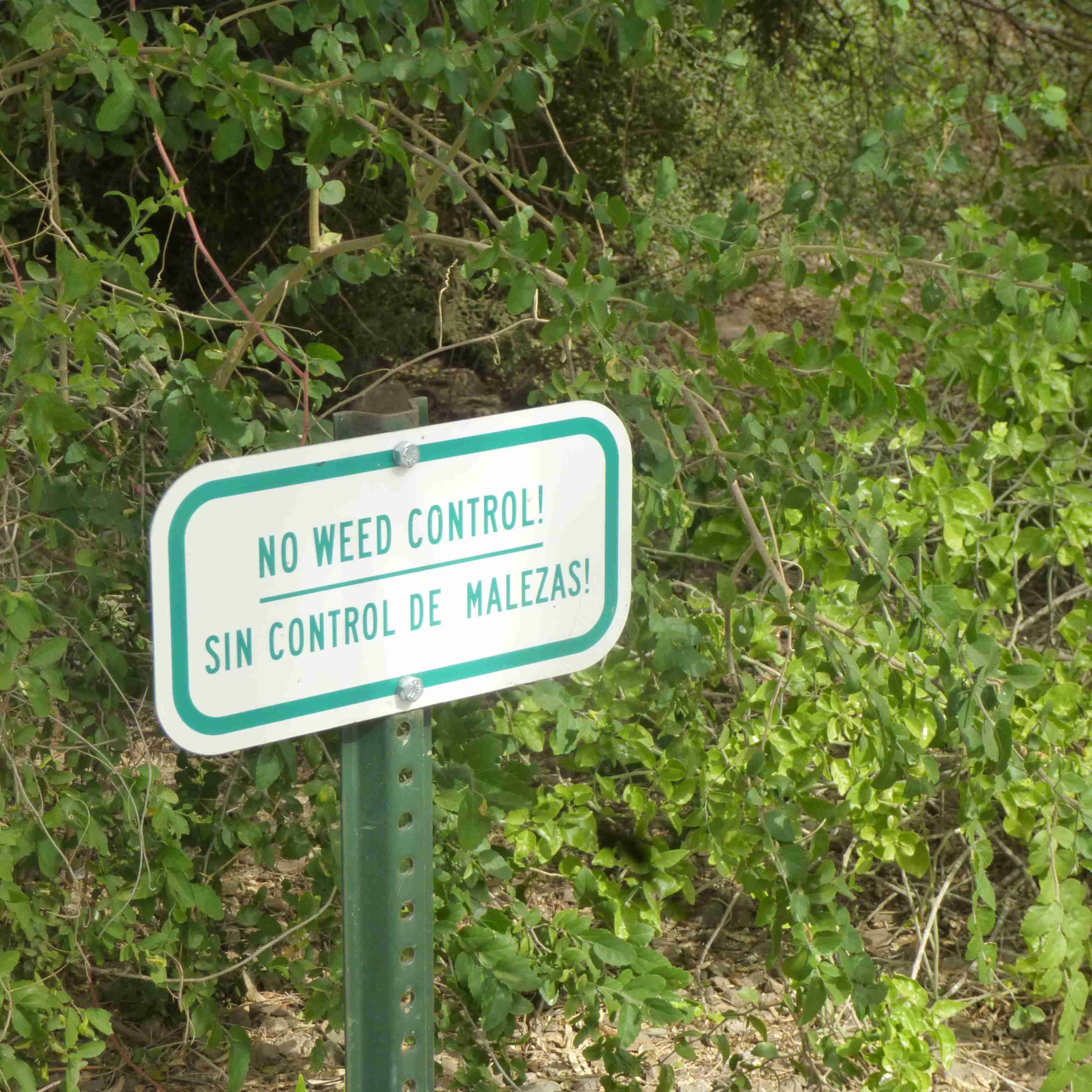 sin control de malezas/no weed control sign